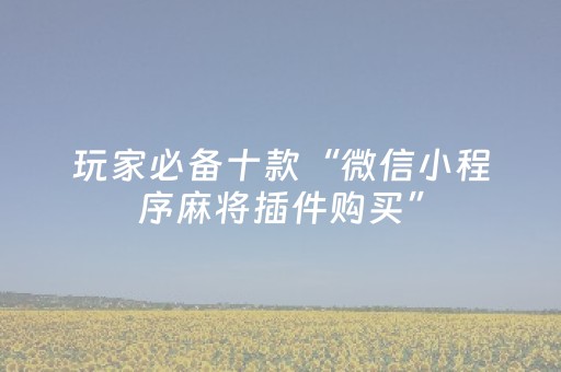 玩家必备十款“微信小程序麻将插件购买”（开挂辅助器插件)