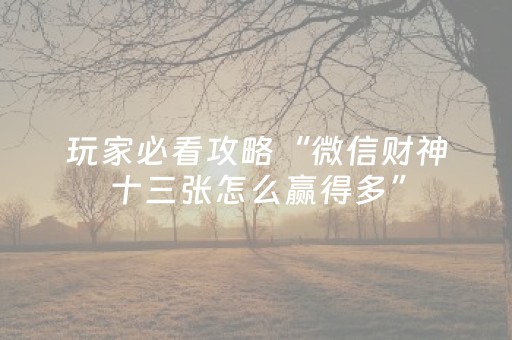玩家必看攻略“微信财神十三张怎么赢得多”（万能开挂神器)