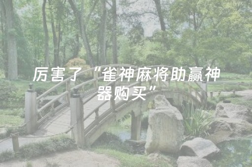 厉害了“雀神麻将助赢神器购买”（装挂怎么安装)