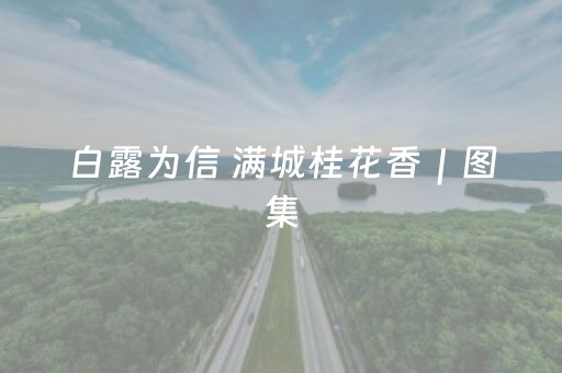 7分钟揭秘“微信麻将开挂神器下载”（提高胜率技巧)