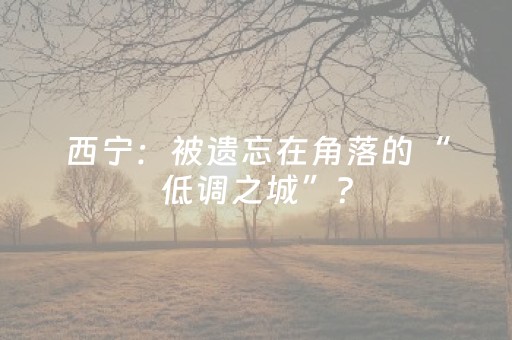 西宁：被遗忘在角落的“低调之城”？