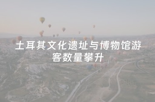 黑料“麻将控牌神器”（开挂辅助插件)
