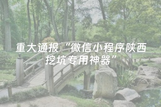 重大通报“微信小程序陕西挖坑专用神器”（插件开挂免费AI)
