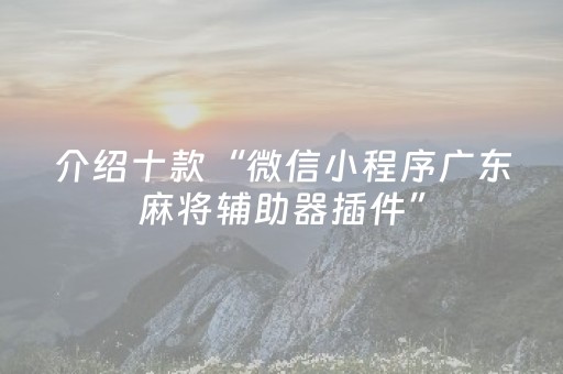 介绍十款“微信小程序广东麻将辅助器插件”（助赢神器购买)