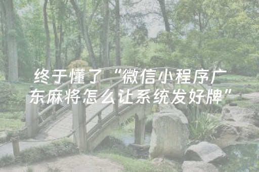 终于懂了“微信小程序广东麻将怎么让系统发好牌”（装挂怎么安装)