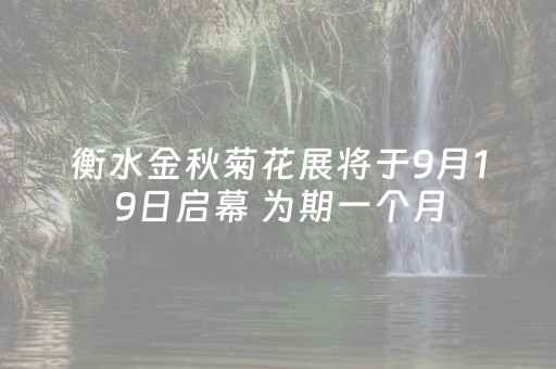 衡水金秋菊花展将于9月19日启幕 为期一个月