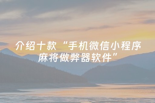 介绍十款“手机微信小程序麻将做弊器软件”（插件可信吗)