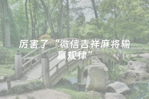 厉害了“微信吉祥麻将输赢规律”（辅助软件)