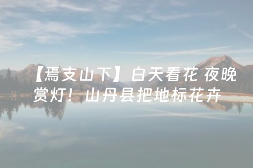 分五期展现沧州！这一大型文化节目本周日起央视播出！千万别错过