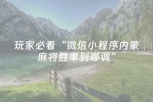 玩家必看“微信小程序内蒙麻将胜率到哪调”（透明挂辅助器)