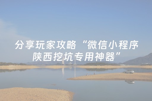 分享玩家攻略“微信小程序陕西挖坑专用神器”（好友房怎么才能赢)