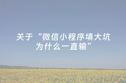 关于“微信小程序填大坑为什么一直输”（AI辅助胡牌规则)