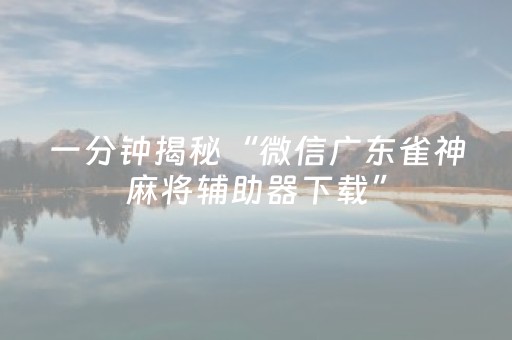 一分钟揭秘“微信广东雀神麻将辅助器下载”（专用神器下载)