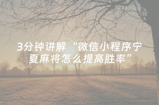 3分钟讲解“微信小程序宁夏麻将怎么提高胜率”（确实有插件吗)