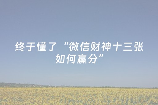 终于懂了“微信财神十三张如何赢分”（辅助软件)