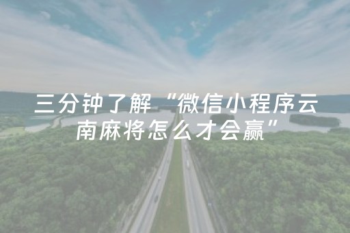三分钟了解“微信小程序云南麻将怎么才会赢”（辅助器插件)