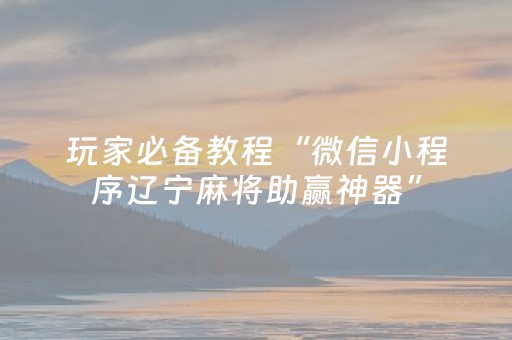 玩家必备教程“微信小程序辽宁麻将助赢神器”（辅牌器插件购买)