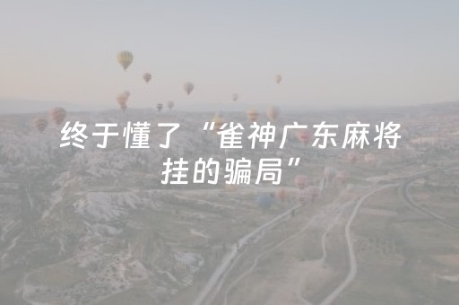 终于懂了“雀神广东麻将挂的骗局”（辅助器下载)