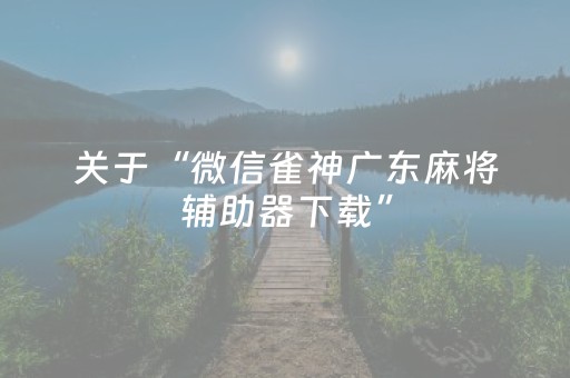 关于“微信雀神广东麻将辅助器下载”（辅助器下载)
