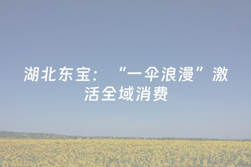 湖北东宝：“一伞浪漫”激活全域消费