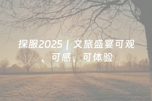 探服2025｜文旅盛宴可观、可感、可体验，明年再见！