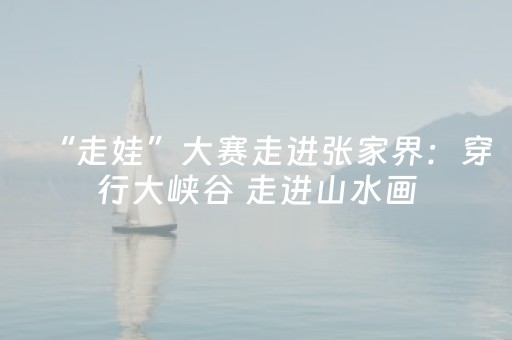 “走娃”大赛走进张家界：穿行大峡谷 走进山水画