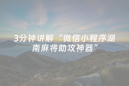 七年等一回 百日草回归福州花海公园