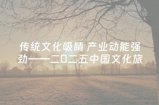 传统文化吸睛 产业动能强劲——二〇二五中国文化旅游产业博览会观察