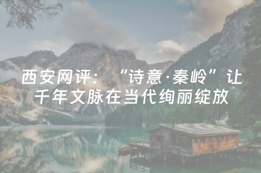 西安网评：“诗意·秦岭”让千年文脉在当代绚丽绽放