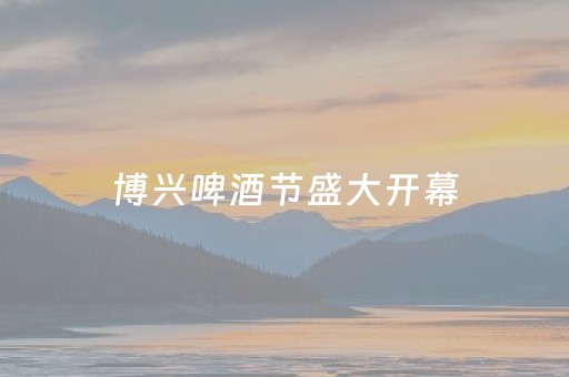 博兴啤酒节盛大开幕