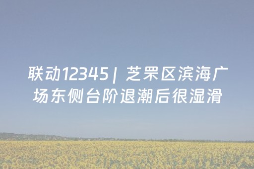 联动12345 |  芝罘区滨海广场东侧台阶退潮后很湿滑，游客容易摔倒