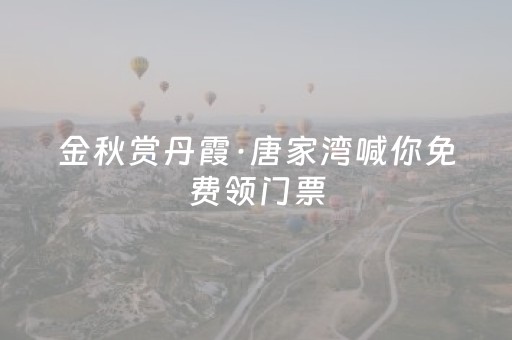 “花叶永不相见”！东湖高新区石蒜花海，晕染秋日浪漫诗篇
