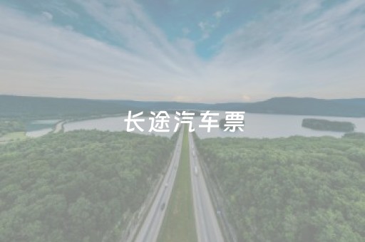 长途汽车票
（长途汽车票查询）