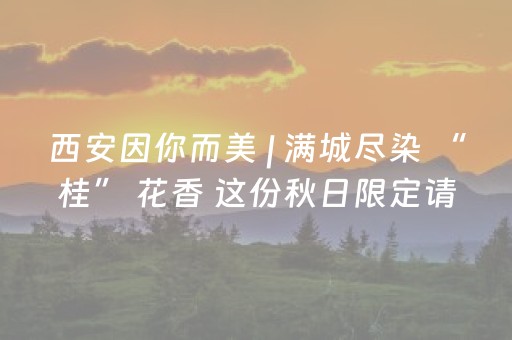 草原天路野狐岭