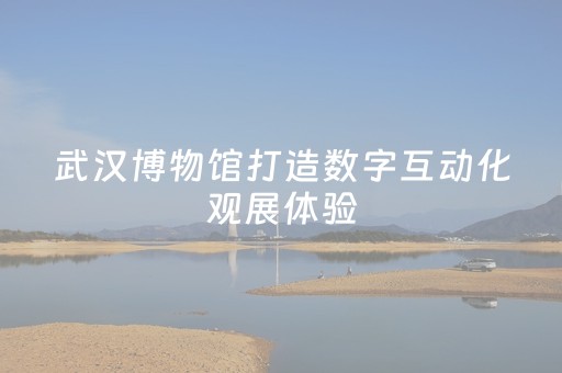 武汉博物馆打造数字互动化观展体验