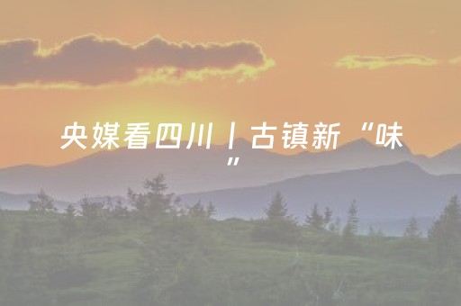 央媒看四川丨古镇新“味”，文旅新“景” 探寻四川烟火气里的消费密码