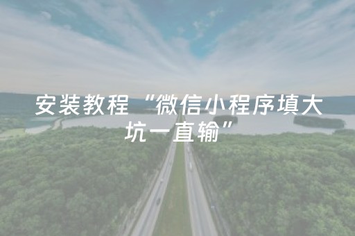 安装教程“微信小程序填大坑一直输”（提高胜率软件)