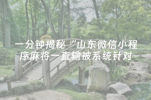 一分钟揭秘“山东微信小程序麻将一直输被系统针对了吗”（有什么规律)