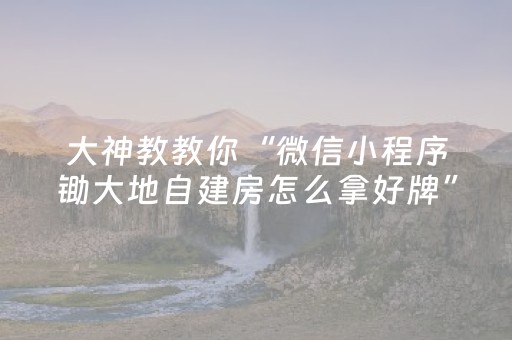 大神教教你“微信小程序锄大地自建房怎么拿好牌”（是否能开挂)