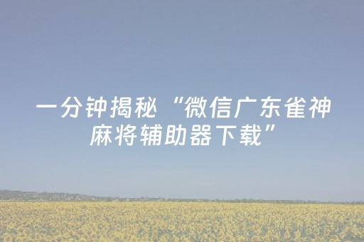 一分钟揭秘“微信广东雀神麻将辅助器下载”（开挂辅助脚本)