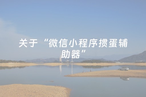 关于“微信小程序掼蛋辅助器”（规律确实有挂)