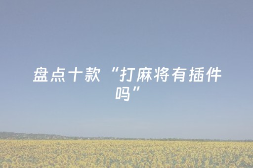 盘点十款“打麻将有插件吗”（助攻神器)