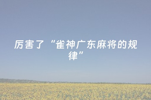 厉害了“雀神广东麻将的规律”（万能开挂神器)