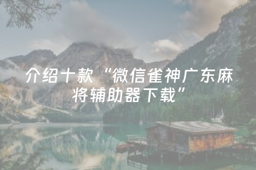 介绍十款“微信雀神广东麻将辅助器下载”（助赢神器)