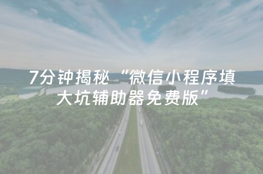 7分钟揭秘“微信小程序填大坑辅助器免费版”（万能开挂器)