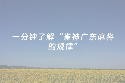 一分钟了解“雀神广东麻将的规律”（控牌器)