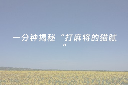 一分钟揭秘“打麻将的猫腻”（怎么提高胜率)