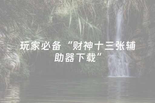 玩家必备“财神十三张辅助器下载”（免费专用神器)