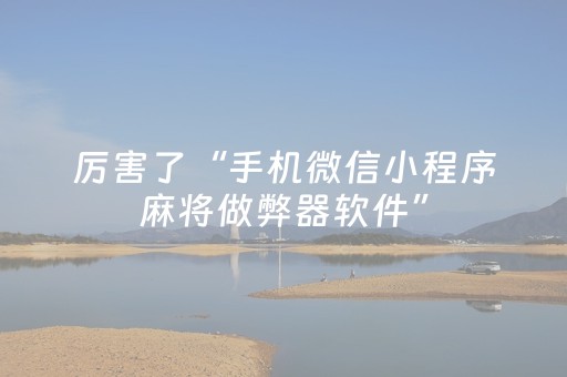 厉害了“手机微信小程序麻将做弊器软件”（开挂辅助插件)
