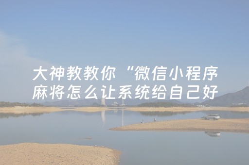大神教教你“微信小程序麻将怎么让系统给自己好牌”（免费专用神器)